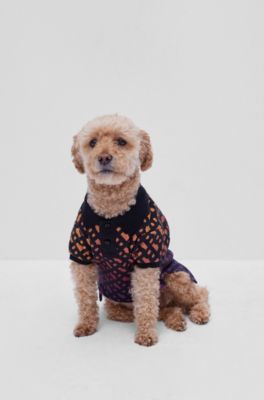 Dog polo shirt in monogrammed interlock cotton, Orange