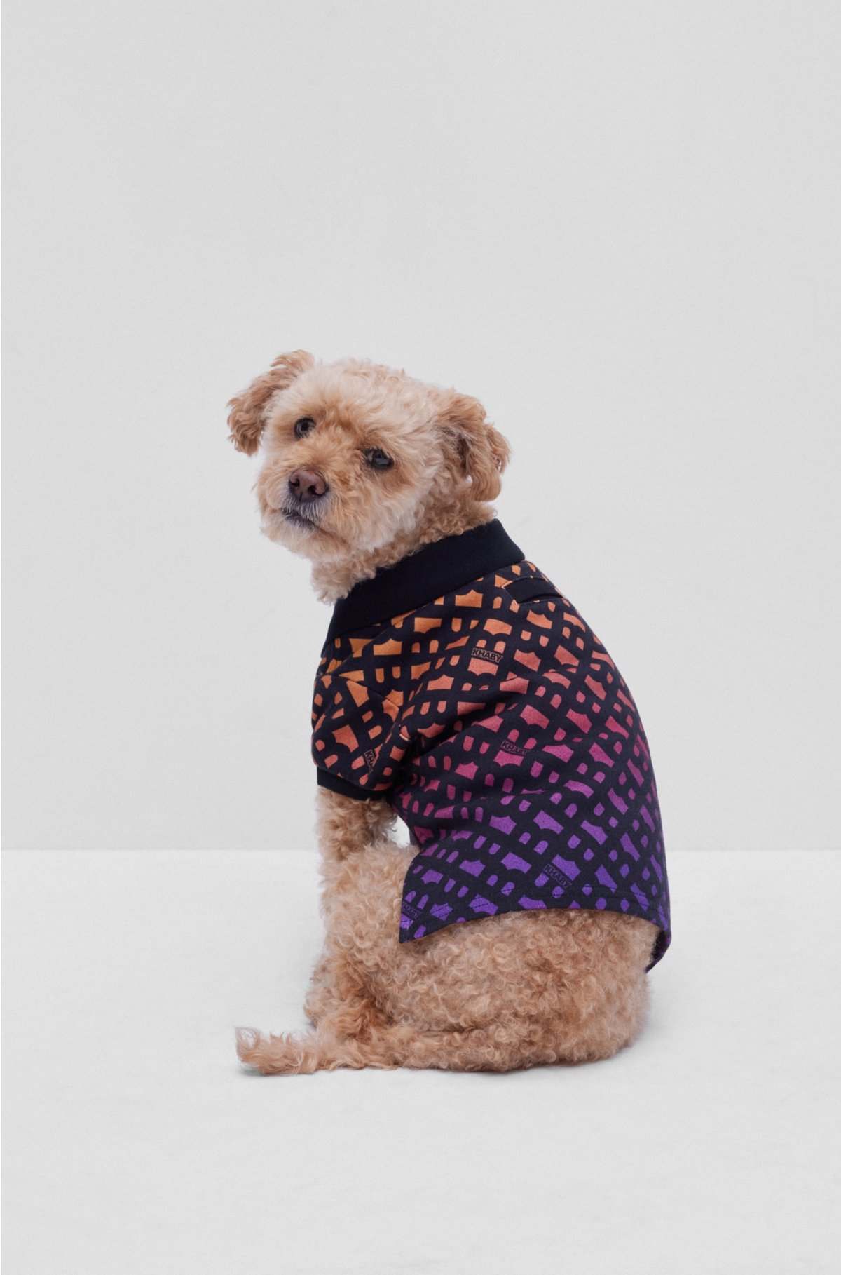 Dog polo shirt in monogrammed interlock cotton, Orange