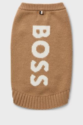 Dog sweater in wool and cashmere, Beige
