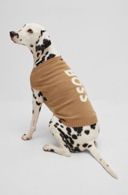 Dog sweater in wool and cashmere, Beige