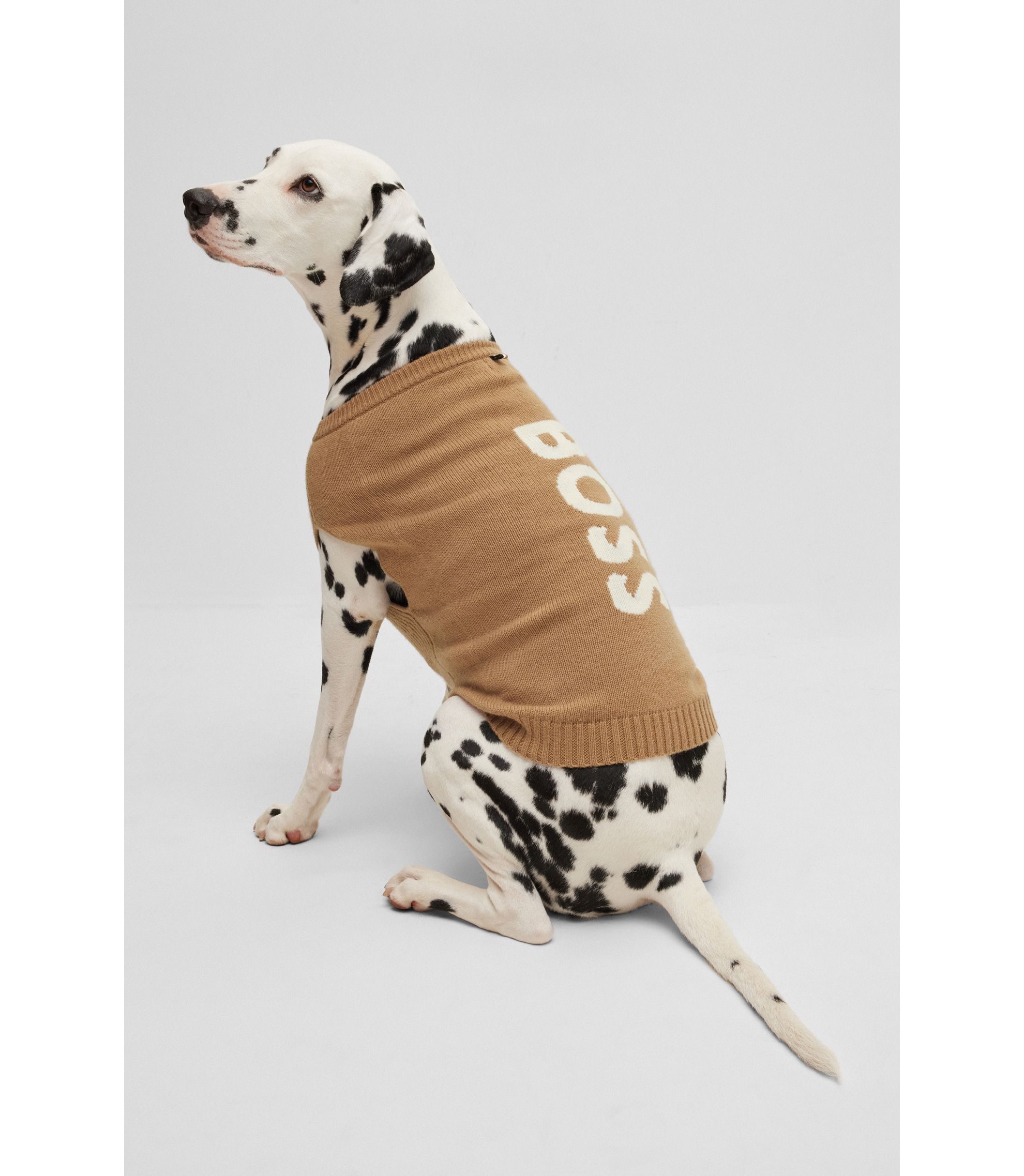 BOSS - ドッグ セーター ウール/カシミア - ベージュ