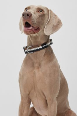 Dog collar with silicone logo patch, Black