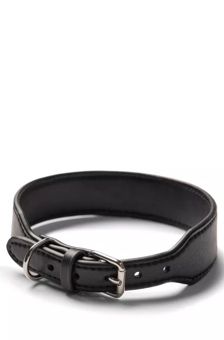 Collier pour chien en cuir recyclé
