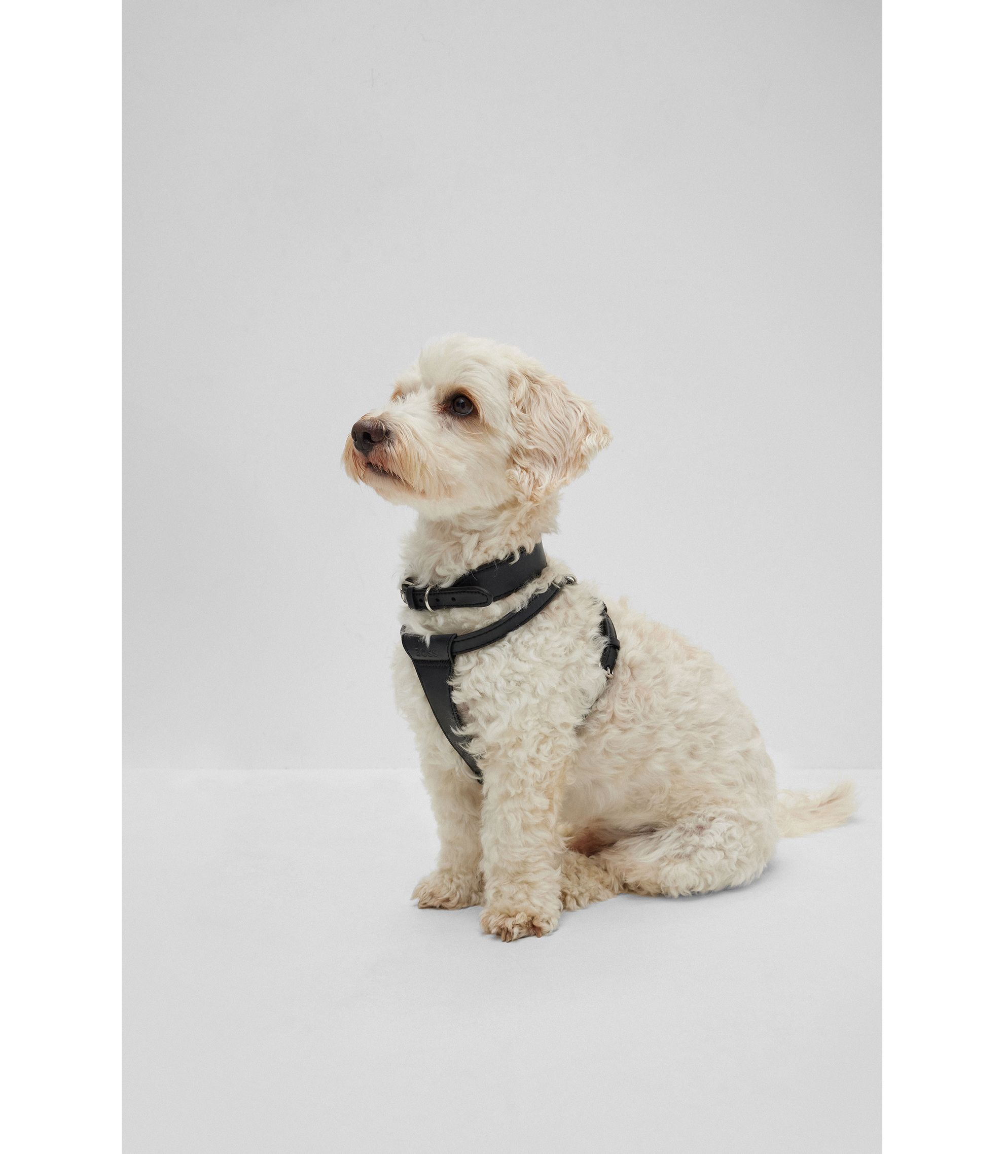 Hunde-Halsband aus recyceltem Leder