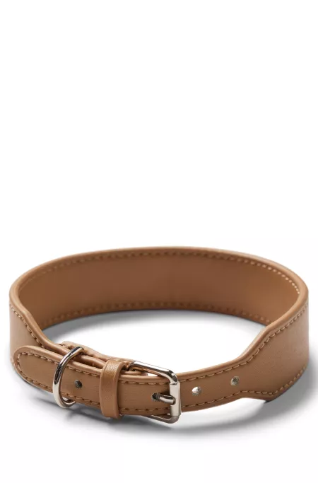 Collier pour chien en cuir recyclé