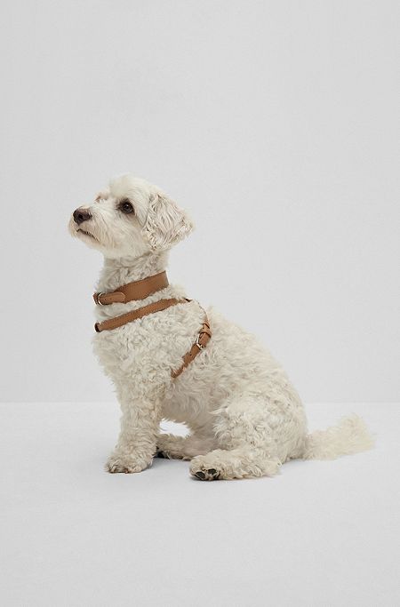 Dog collar in recycled leather, Beige