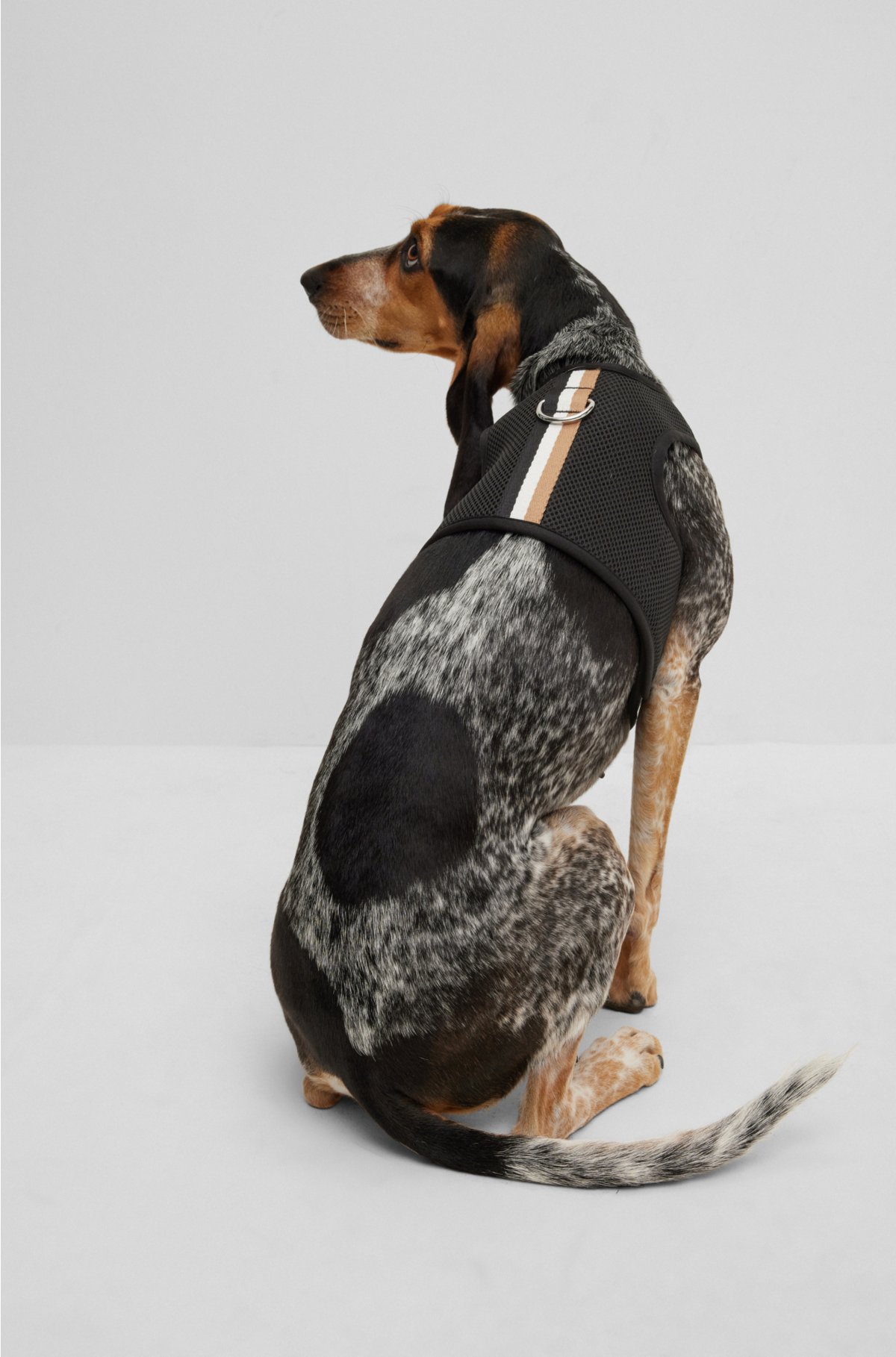 Dog harness in mesh with iconic stripe, Black
