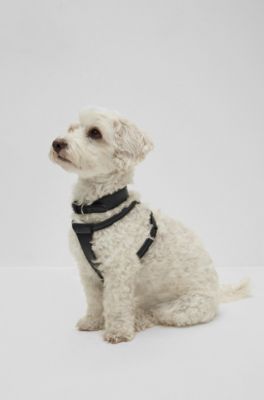 Dog harness in recycled leather, Black