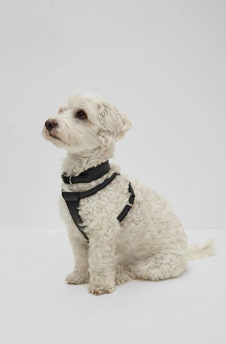 Dog harness in recycled leather, Black