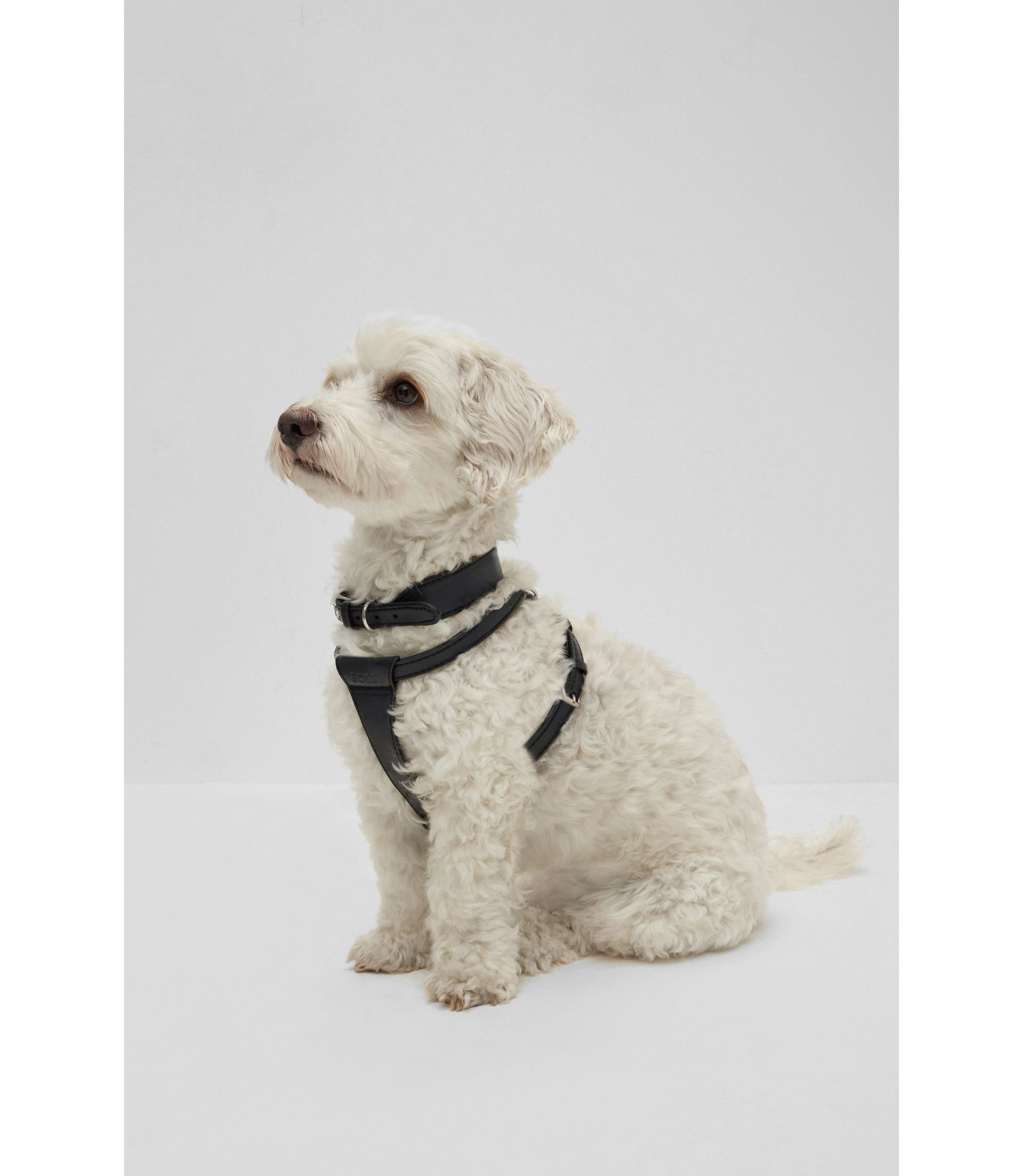 Hunde-Geschirr aus recyceltem Leder