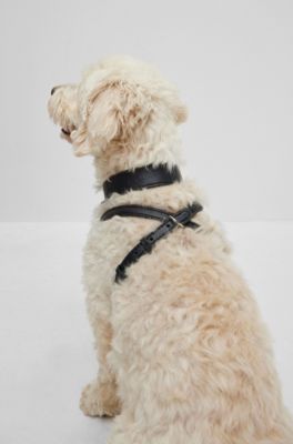 Dog harness in recycled leather, Black
