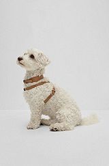 Dog harness in recycled leather, Beige