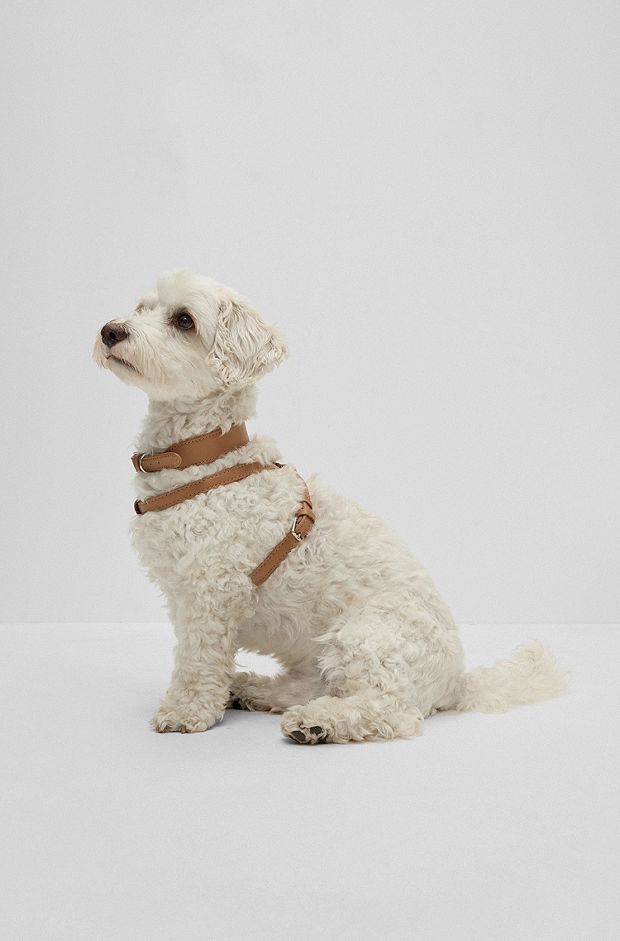 Dog harness in recycled leather, Beige