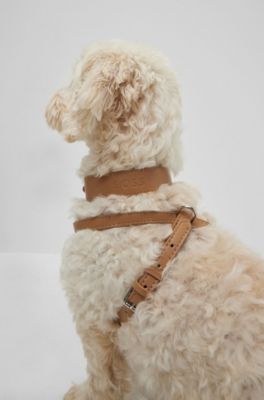 Dog harness in recycled leather, Beige