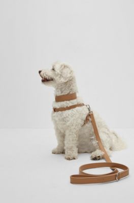 Dog lead in recycled leather, Beige