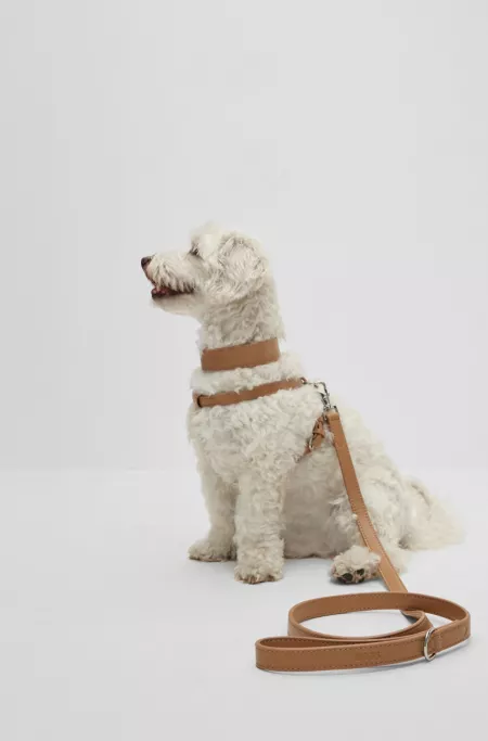 Laisse pour chien en cuir recyclé