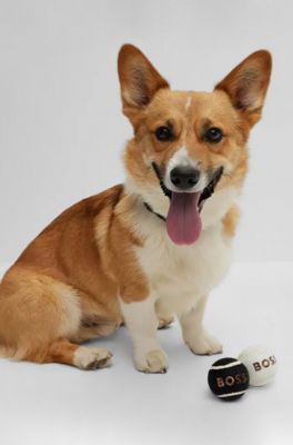 Dog ball set, Brown