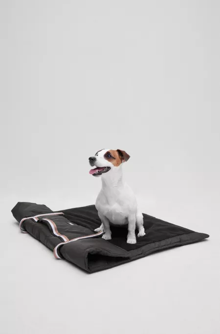 Portable dog mat with sherpa lining