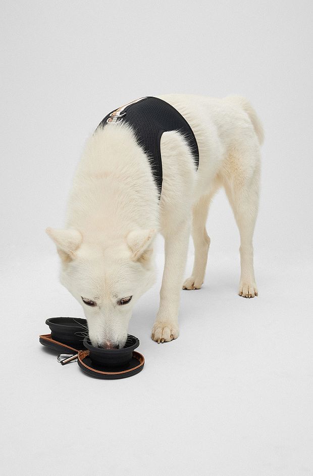 Ciotola doppia in silicone ripiegabile per cani con righe tipiche del marchio, Nero