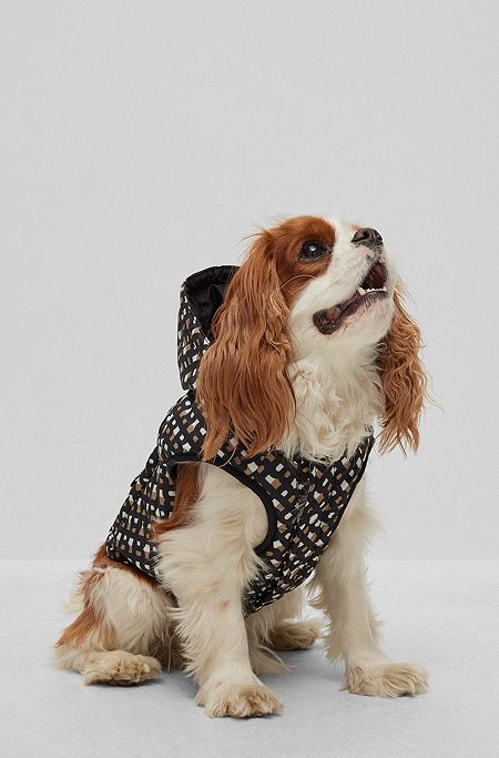 Dog water-repellent padded jacket, Black