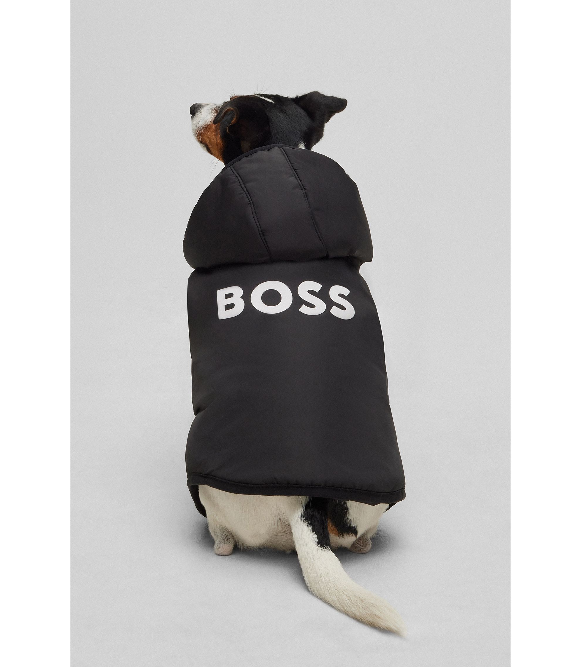 BOSS - ドッグ ライトウエイトジャケット ロゴディテール - ブラック