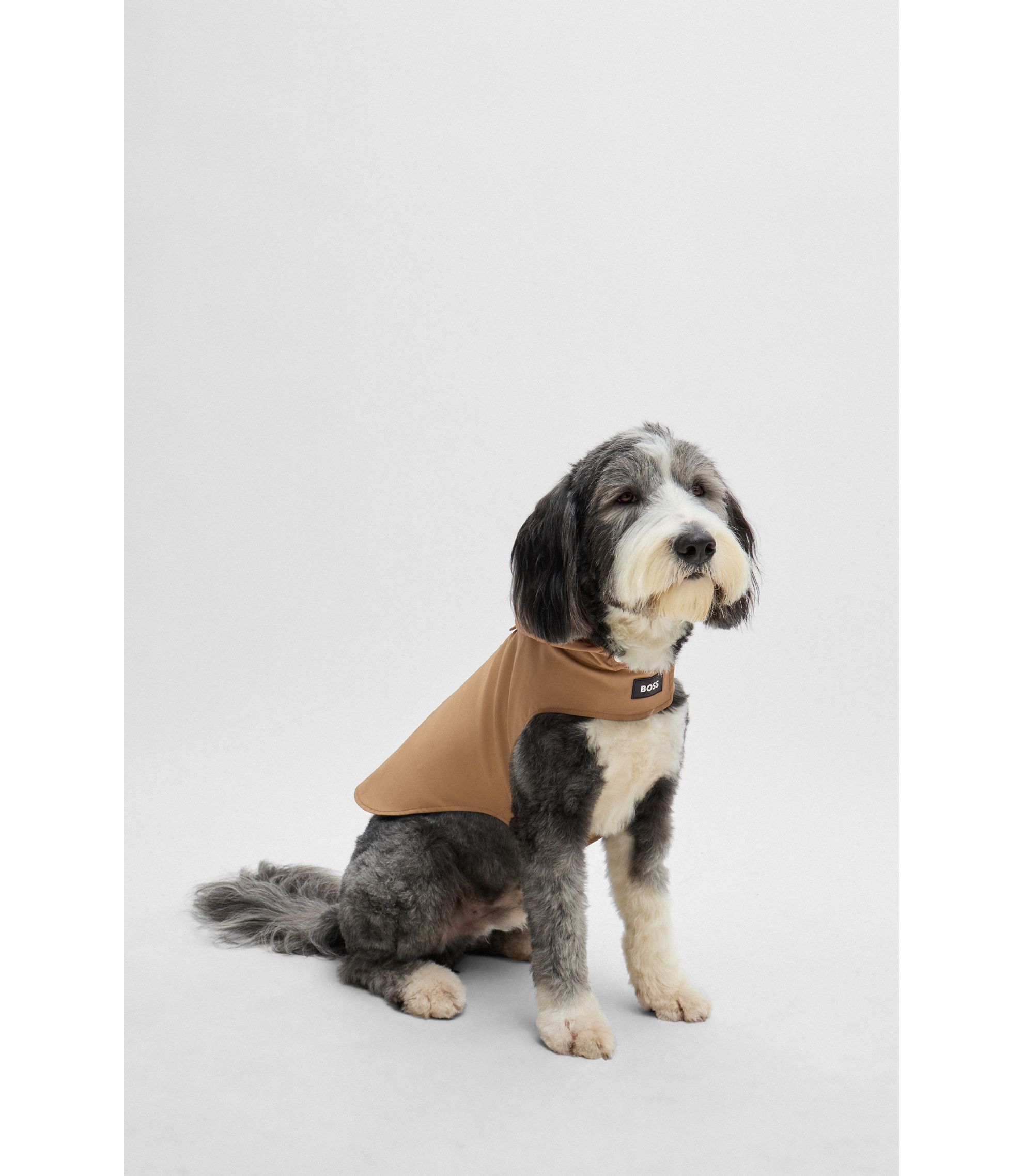 Wasserdichte Hunde-Regenjacke