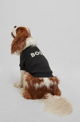 Dog sweater in a cotton blend, Black