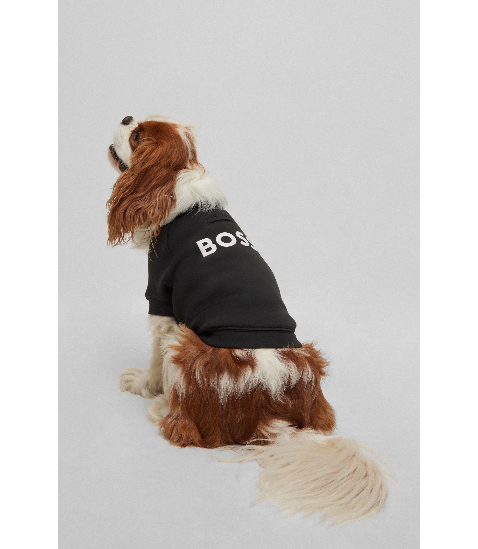 hbeuB3FDAS028_001_300?wid=1980