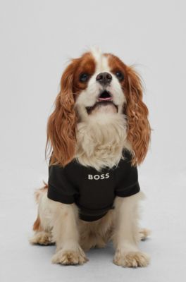 Dog sweater in a cotton blend, Black