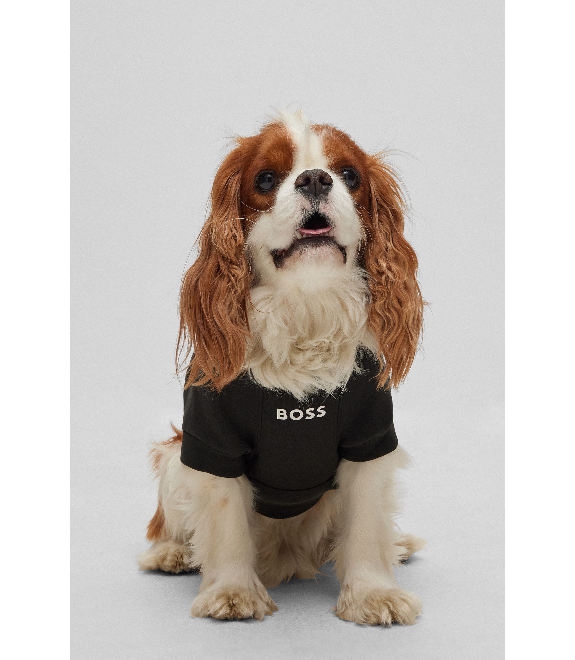 hbeuB3FDAS028_001_310?wid=1980