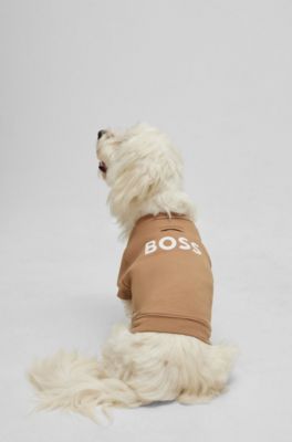 Pull en coton m&eacute;lang&eacute; pour chien, Beige