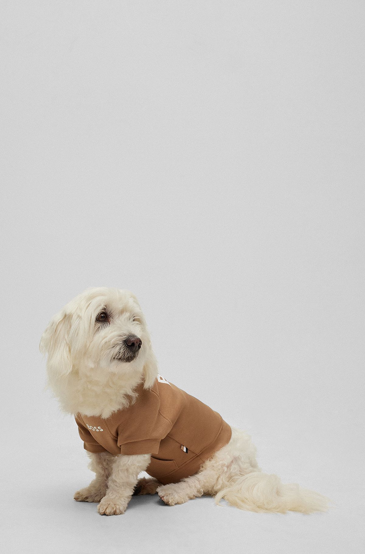 Dog sweater in a cotton blend, Beige