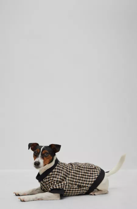 Dog T-shirt in a cotton blend with logo