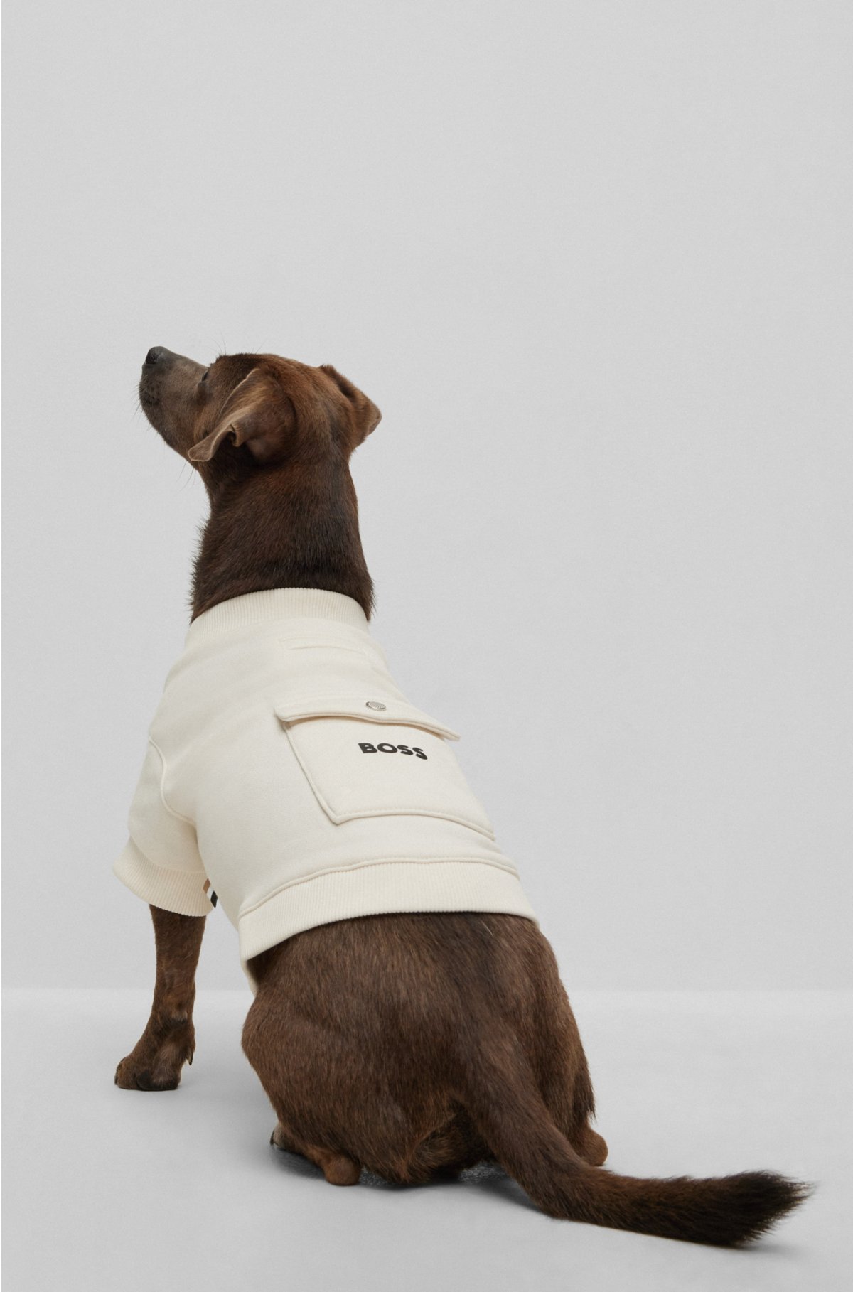 Dog T-shirt in a cotton blend with logo, White