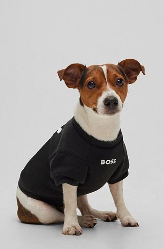T-shirt i bomuldsblandet jersey til hunde, Sort