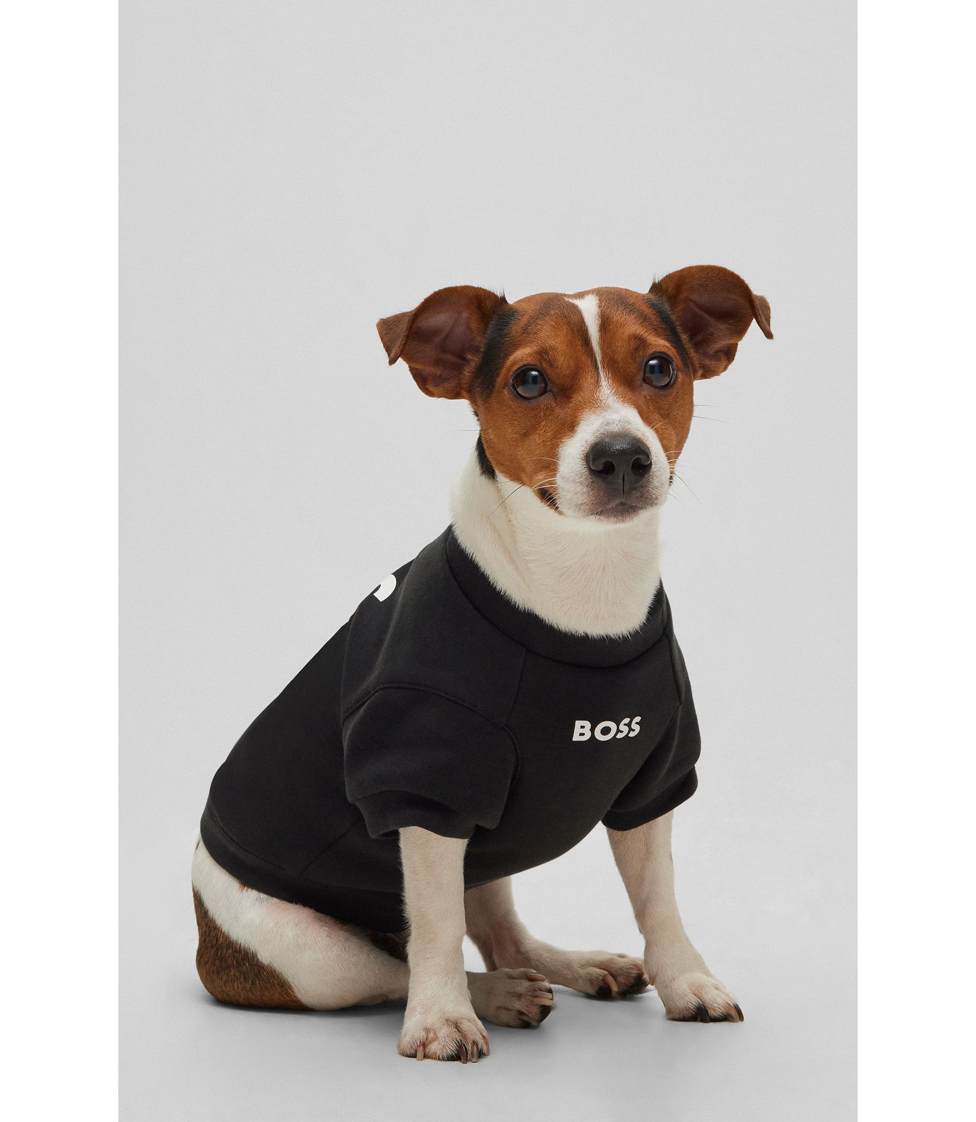 BOSS - ドッグ Tシャツ コットンブレンドジャージー - ブラック