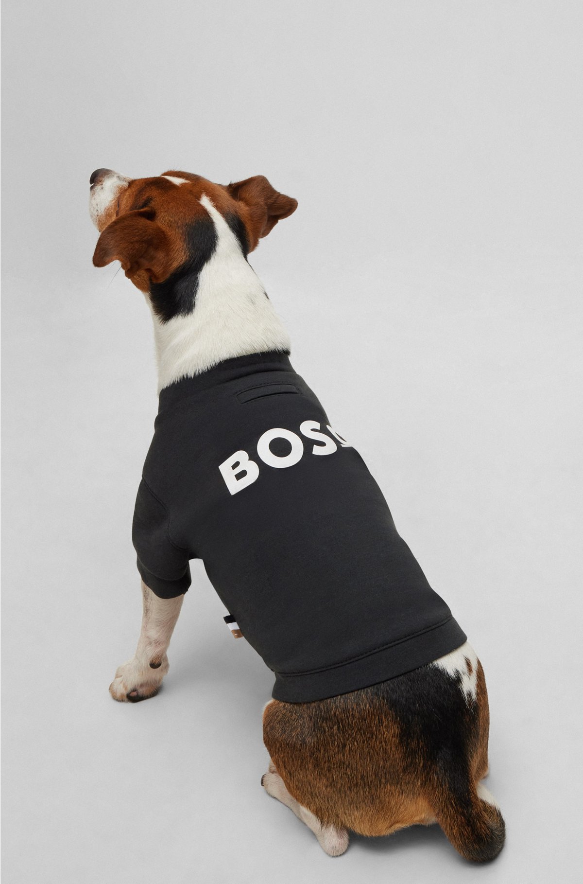 Dog T-shirt in cotton-blend jersey, Black