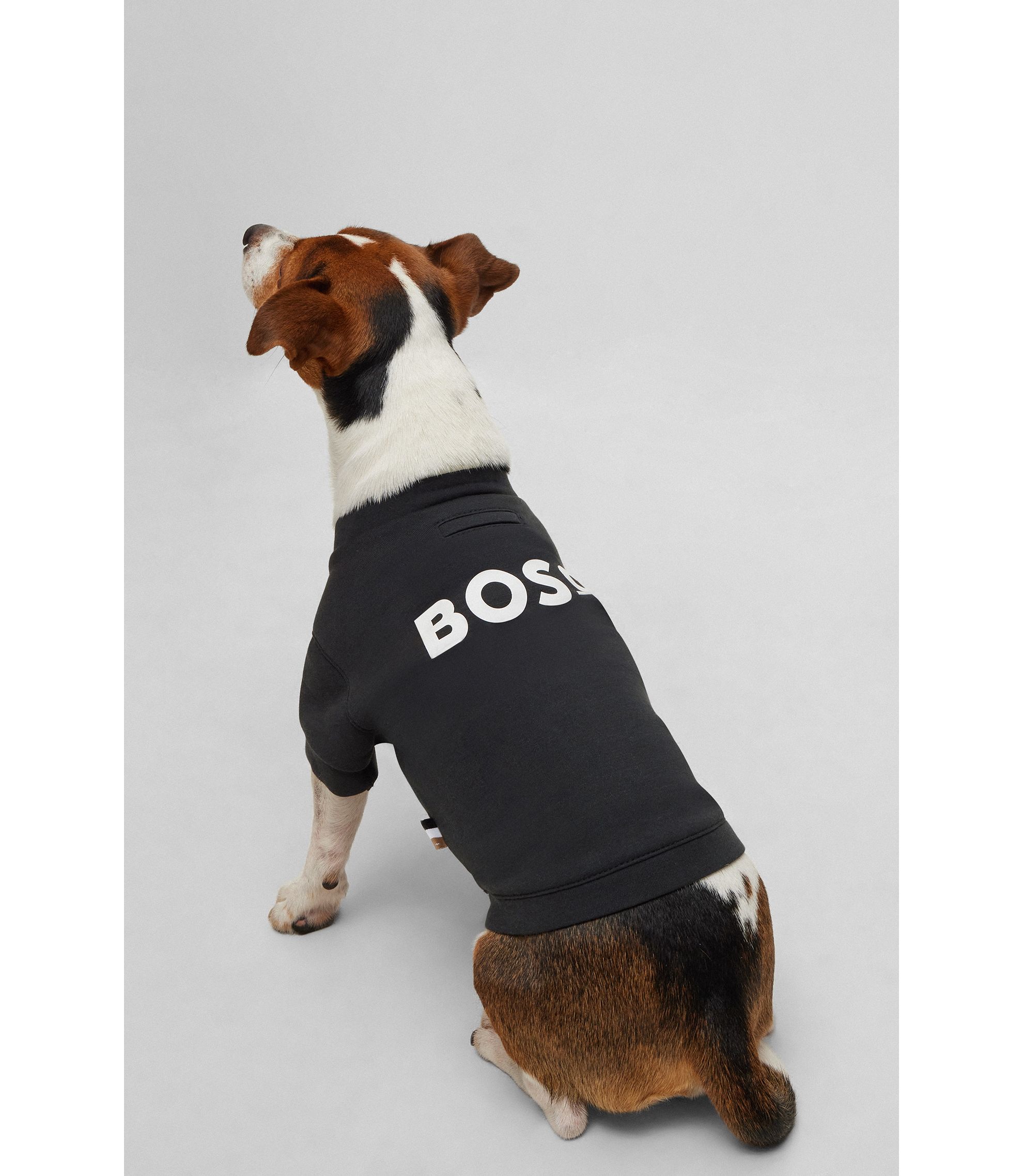 BOSS ドッグウェア hbeuB3FDAT038_001_310?wid=1980