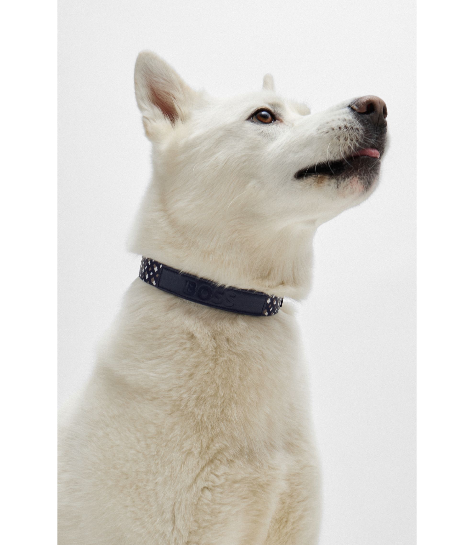 BOSS - ドッグ カラー メタルディテール - ブラック