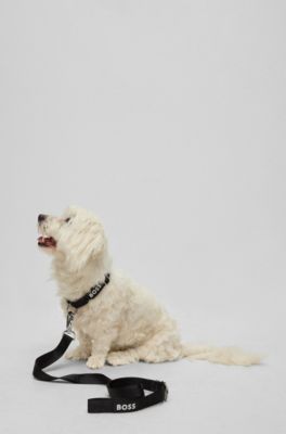 Dog collar with jacquard logo detailing, Black