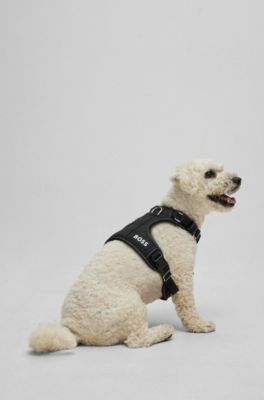 Gepolstertes Hundegeschirr, Schwarz