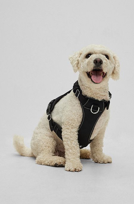 Dog harness with padding, Black