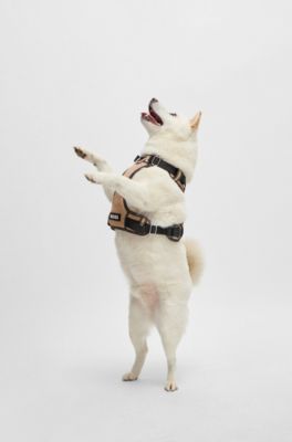 Dog harness with padding, Beige