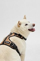Dog harness with padding, Beige