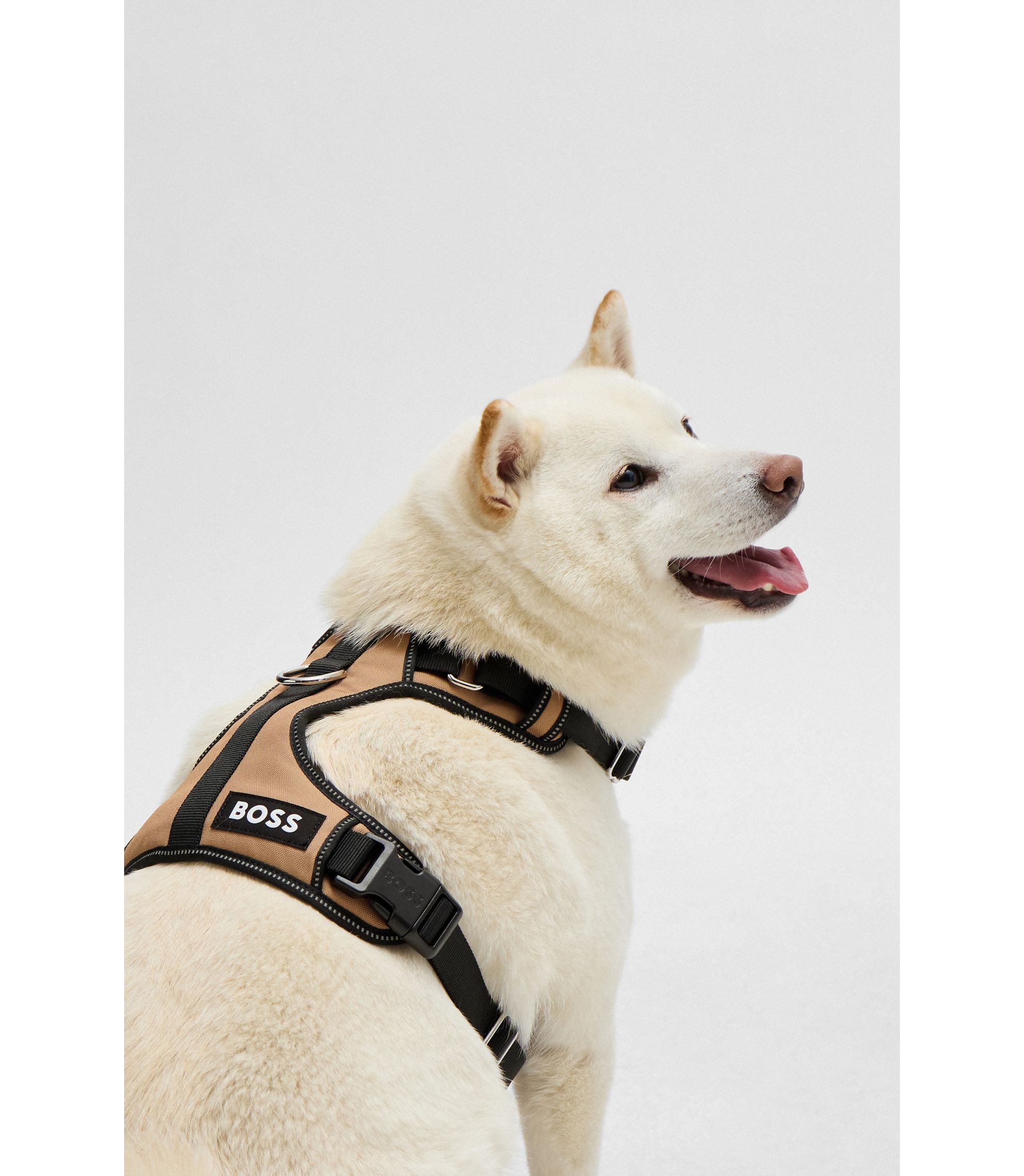 BOSS - ドッグハーネス パディング - ベージュ