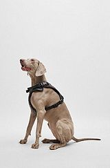 Dog mesh-lined harness with monogram pattern, Black