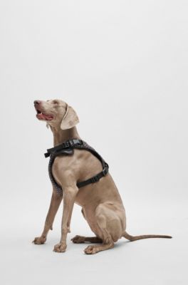 Dog mesh-lined harness with monogram pattern, Black