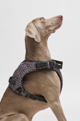 Dog mesh-lined harness with monogram pattern, Black