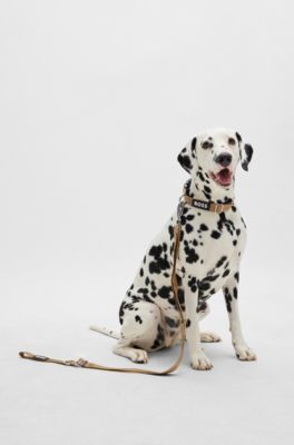 Dog lead with jacquard logo detailing, Beige