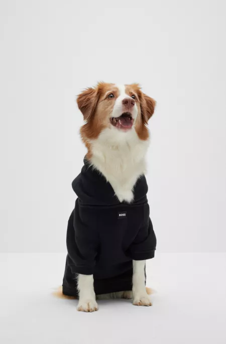 Sweat à capuche pour chien en coton mélangé avec logo contrastant